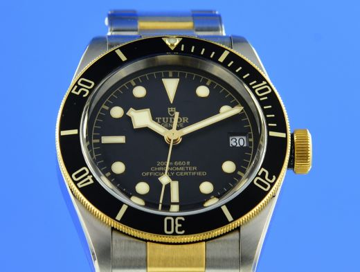 Tudor Black Bay S&G 79733N